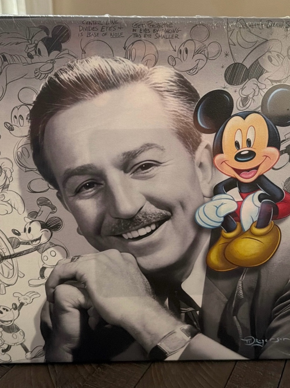 Disney Fine Art